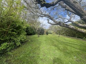 Photo 14- click for photo gallery